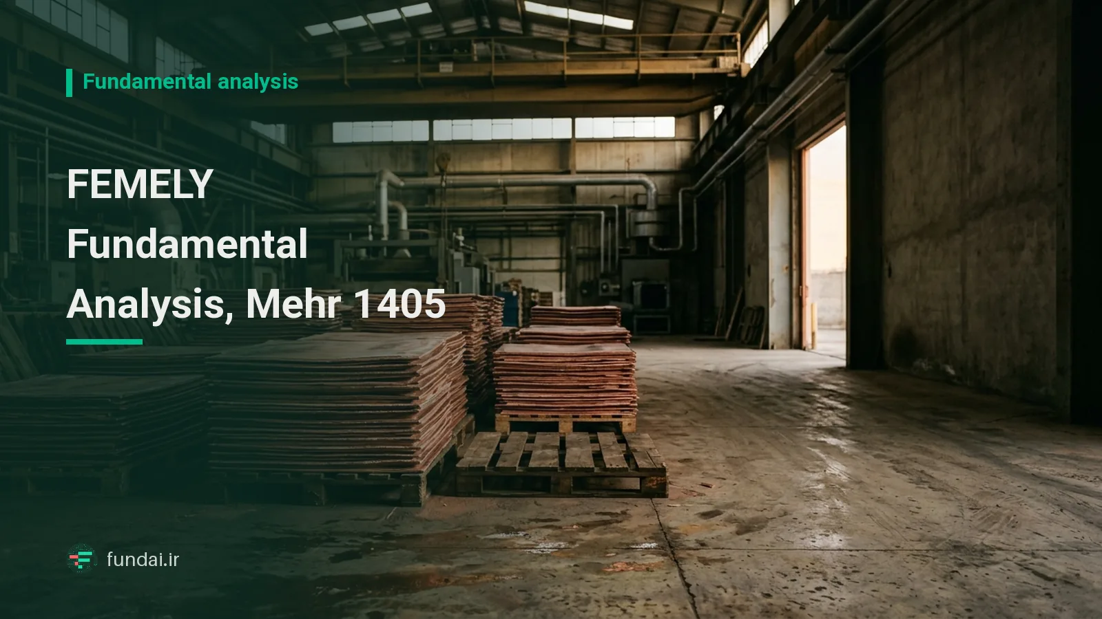 FEMELY fundamental analysis: monthly sales, profit margin and earnings per share of National Iranian Copper Industries