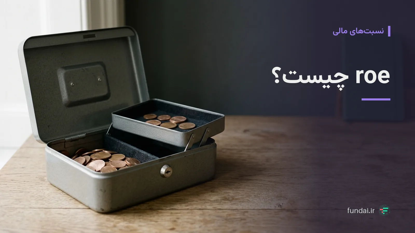 roe چیست؟ آموزش گام‌به‌گام محاسبه و فیلتر بازده حقوق مالکانه